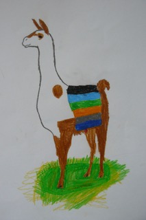 lama-peru