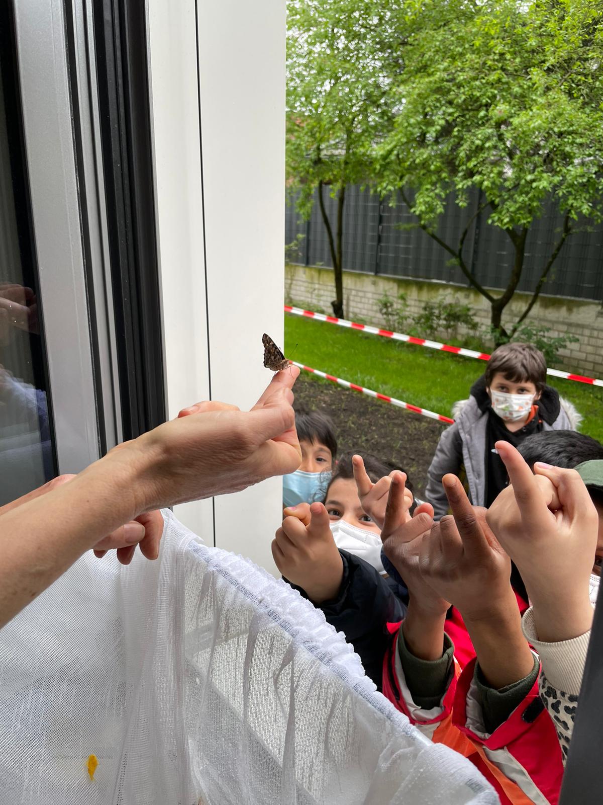 Fensterbild_alle