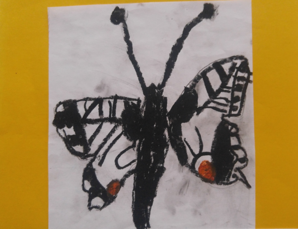 Schmetterling_3