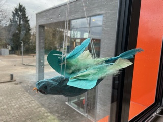 Vogel2