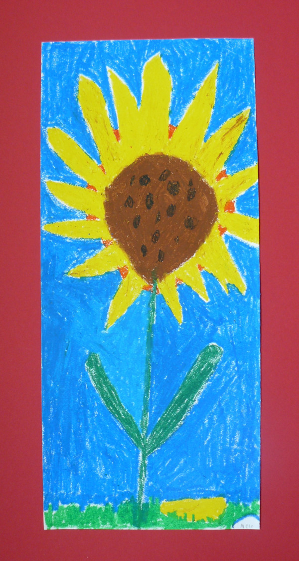 Sonnenblume